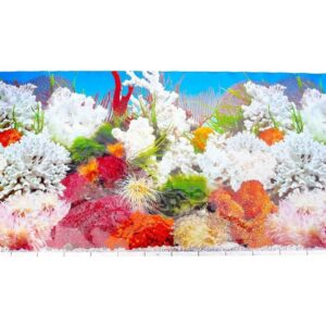 Lámina Panorama De Corales Y Plantas Para Peceras 12"x12"