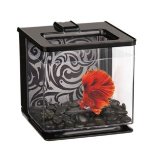 Marina Betta Kit Negra De Pecera Pequeño Para Peces 2.5l