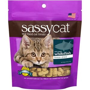 Sassy Cat Golosinas Sin Granos De Pescado Blanco Para Gatos 25g