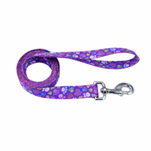 Coastal Purple Paw Correa de Nailon Para Perros 4"