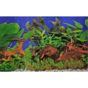 Lámina Panorama De Corales Y Plantas Para Peceras 18"x18"