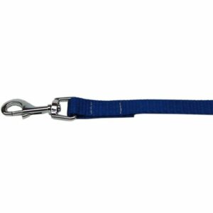Mirage Correa Azul De Nylon Para Perros 6'