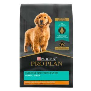 Purina Pro Plan Focus Puppy Chicken & Rice Formula Alimento de Pollo y Arroz Para Cachorros 34lb/15.4kg