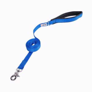 Gogo Correa Azul de Nylon para Perros 6'