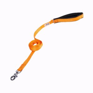 Gogo Correa Naranja de Nylon para Perros 6'