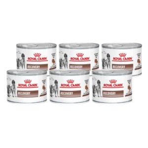 Royal Canin Recovery Alimento Humedo Para Perros Y Gatos 195gr (6-PACK)
