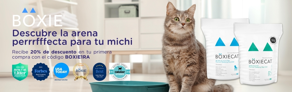 boxiecat arena para gatos