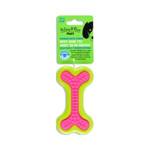 Riley & Rex Juguete Hueso Verde y Fucsia de Goma con Relieve para Perro 4.75"