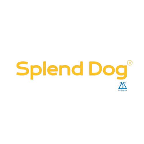 Splend_Dog