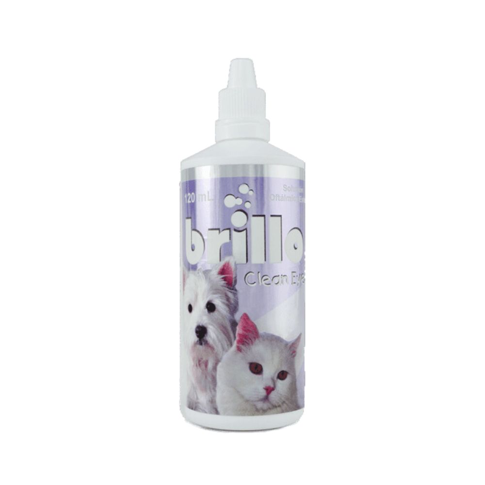 BRILLO_CLEAN_EYES