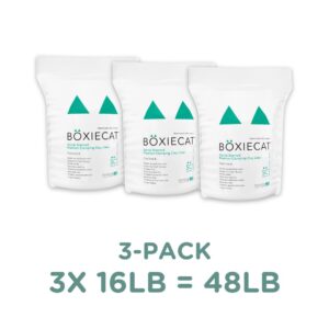 Boxiecat Arena Aglomerante Con Fragancia