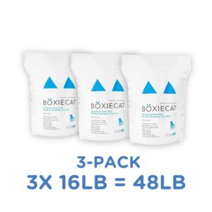 Boxiecat Arena Aglomerante Sin Fragancia