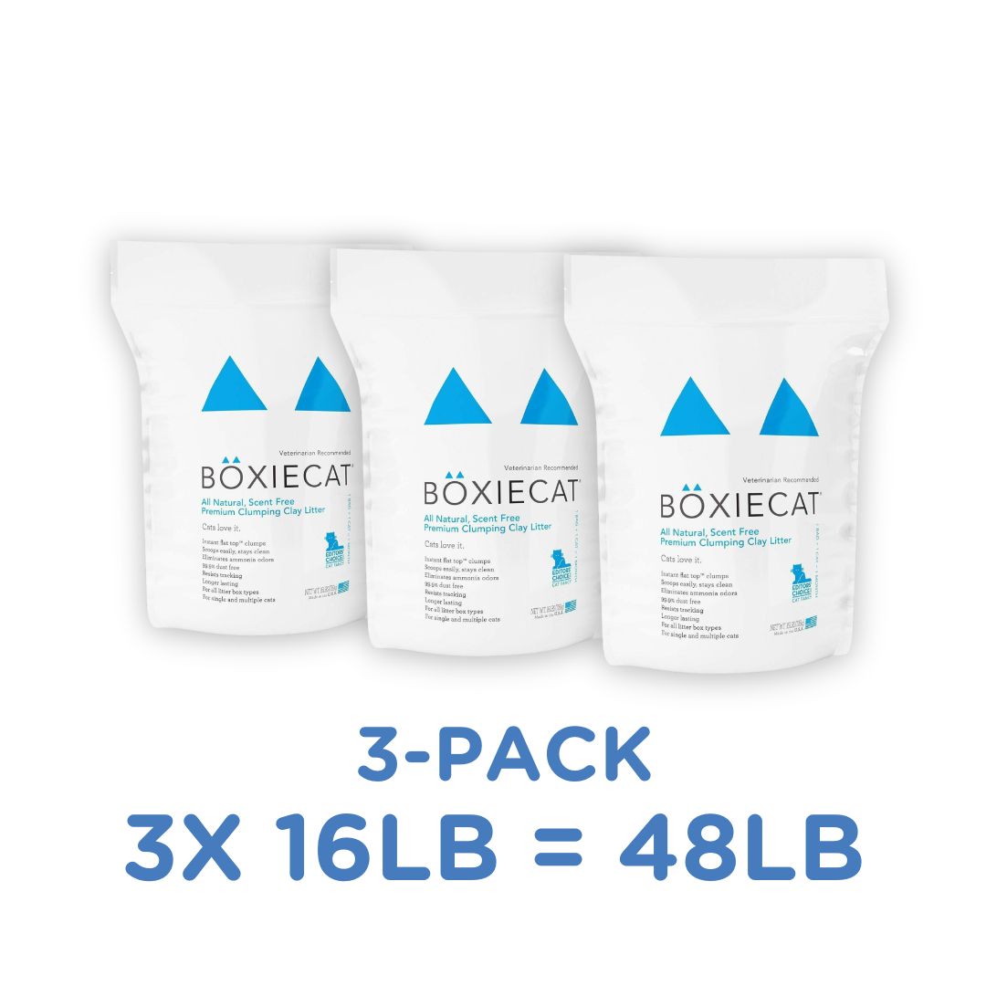 Boxiecat Arena Aglomerante Sin Fragancia