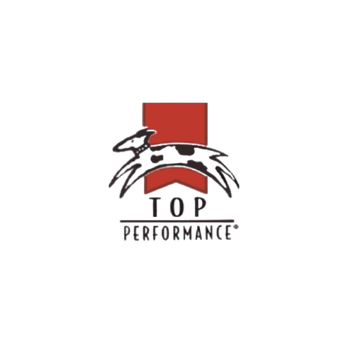TOP_PERFORMANCE
